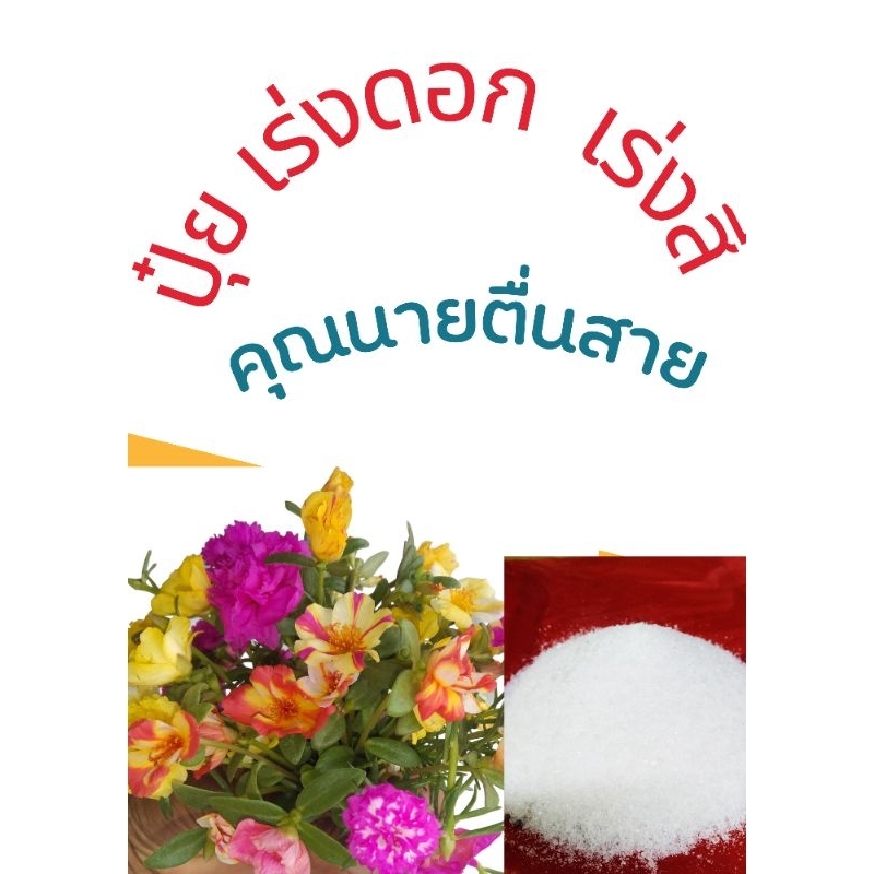 ปุ๋ย เร่งดอก เร่งสี ต้นคุณนายตื่นสาย/แพรเซี่ยงไฮ้ บรรจุ 200 กรัม เป็นปุ๋ยเกล็ดละลายน้ำรดหรือฉีดพ่นก็ได้