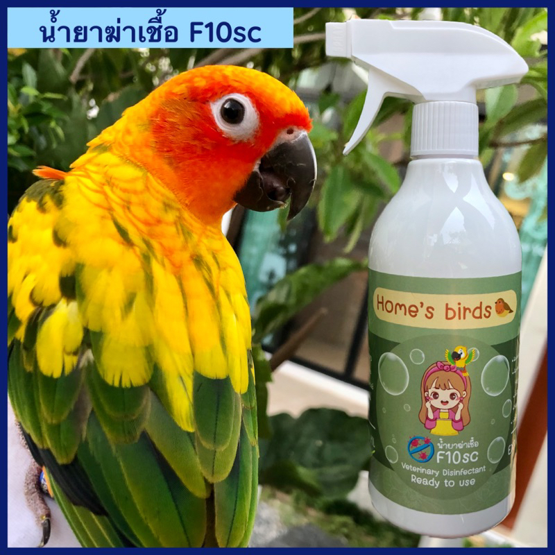 น้ำยาฆ่าเชื้อ F10sc พร้อมใช้งาน กำจัดเชื้อไวรัส แบคทีเรีย และอื่นๆ