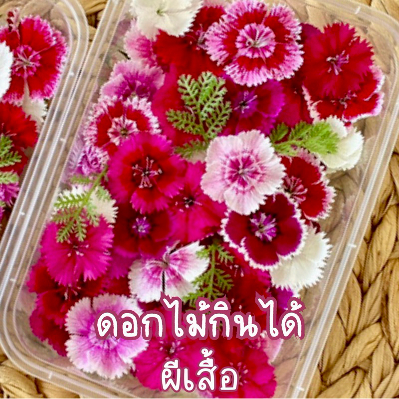 ดอกผีเสื้อปลอดสาร 60 ดอก 🌸 ดอกไม้กินได้ แต่งจาน แต่งเค้ก ส่งตรงจากฟาร์มมาตรฐาน GAP