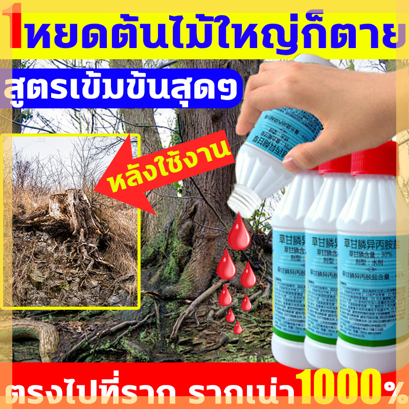 การจัดส่ง 24 ชั่วโมง ฆ่าต้นไม้เปิดพื้นที่รกร้าง ยาฆ่าไม้ไผ่ ยาฆ่าต้นไม้ สารกำจัดกอไผ่ ผงกำจัดต้นไม้ 200ML