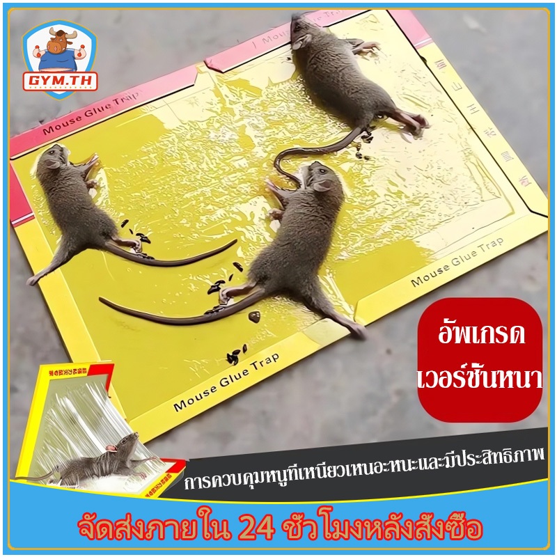 แผ่นกาวดักหนู ไม่มีพิษ ไม่มีกลิ่น ไม่แห้ง ติดทน ไม่ไหลเยิ้ม ใช้ง่าย จัดส่งจากกรุงเทพ