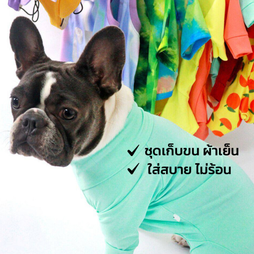 ชุดเก็บขน ชุดกันขนร่วง Pet Bodysuit ชุดหมา ชุดแมว | Clawset Happy Hour