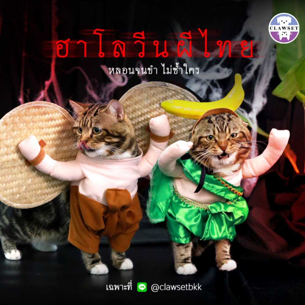 ชุดกระหัง ชุดตานี ชุดผีสัตว์เลี้ยง | CLAWSET.BKK
