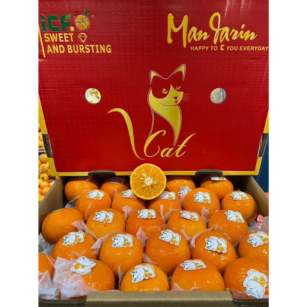 ส้มไตหวัน (กล่องแดง แมวกวัก ICF) wo Tangerine  ส้มแมนดารินไตหวัน น้ำหนัก 6.5 กิโลกรัม