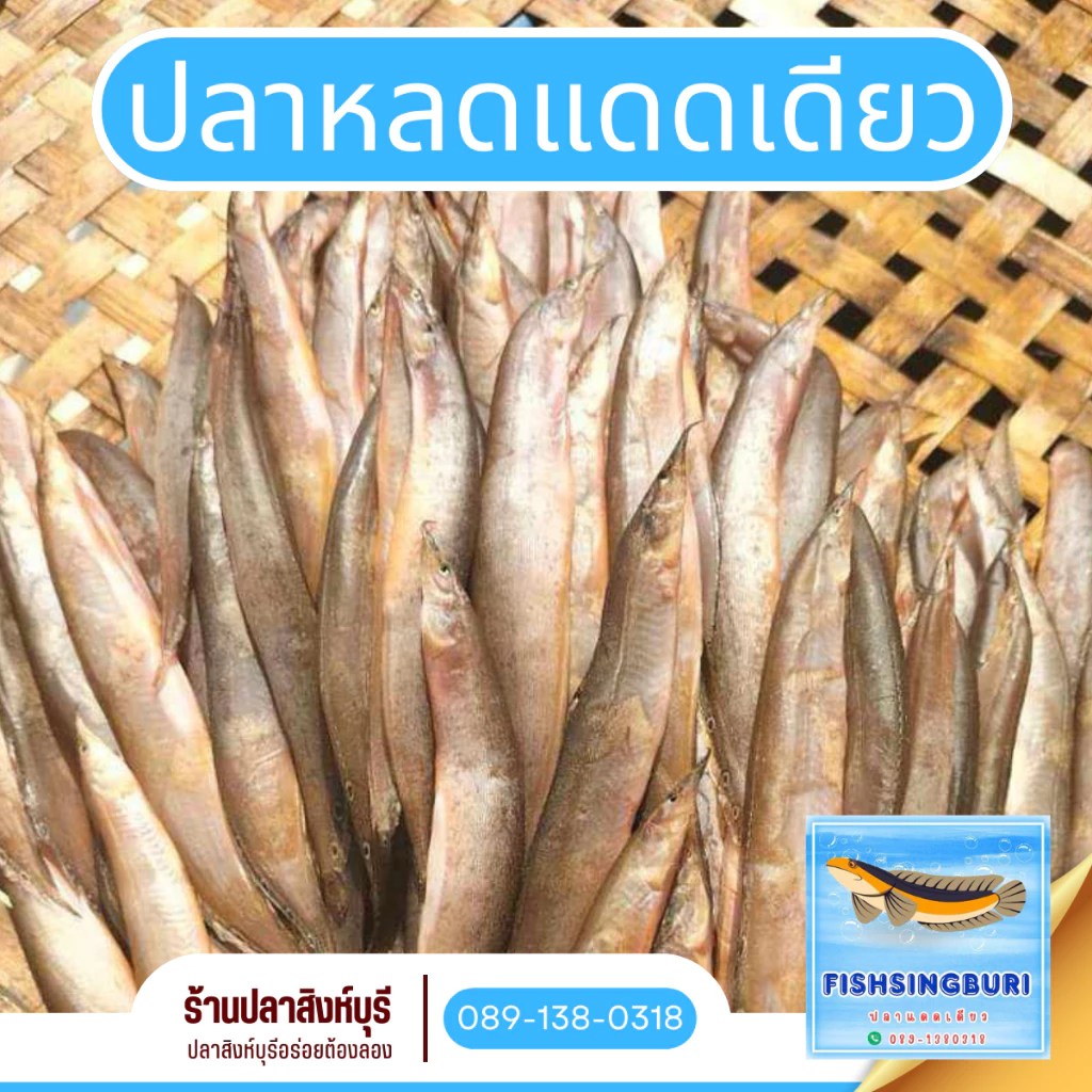 ปลาหลดแดดเดียวขนาด 500 กรัม