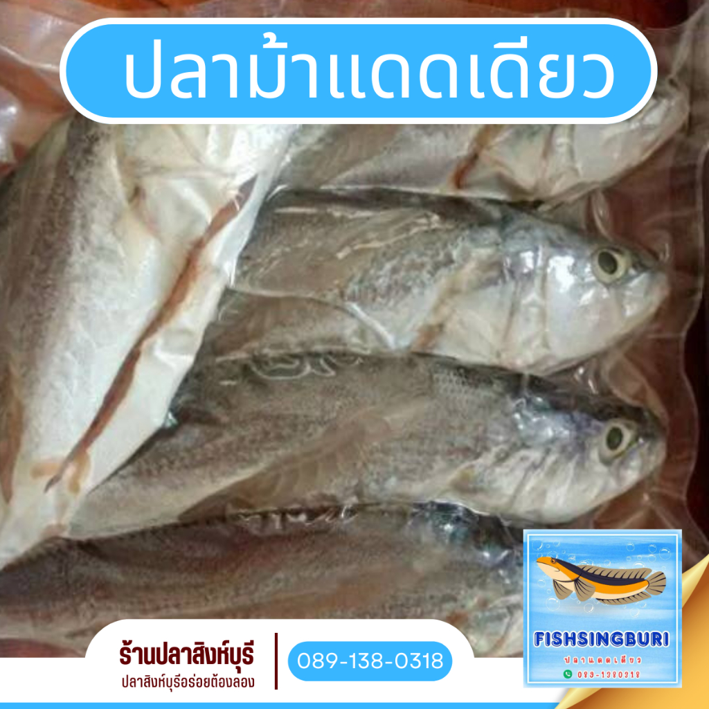 ปลาม้าแดดเดียวขนาด​ 1 กิโลกรัม
