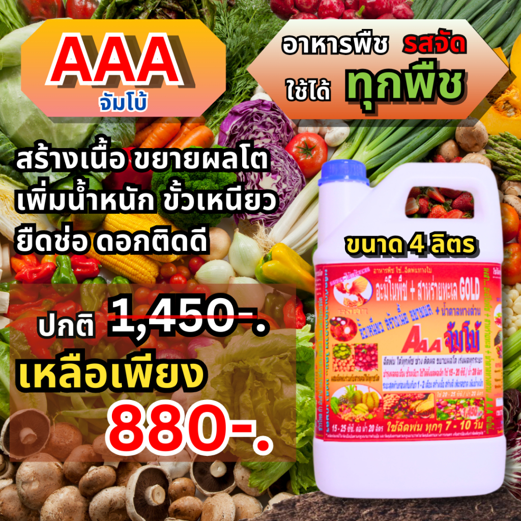 3A จัมโบ้ ฉีดพ่นทางใบ สำหรับ “พืชผักผลไม้ทุกชนิด” พืชสมบูรณ์ ลดการใช้ปุ๋ยเคมี ก้านช่อยาว โตไว ผลอวบ 
