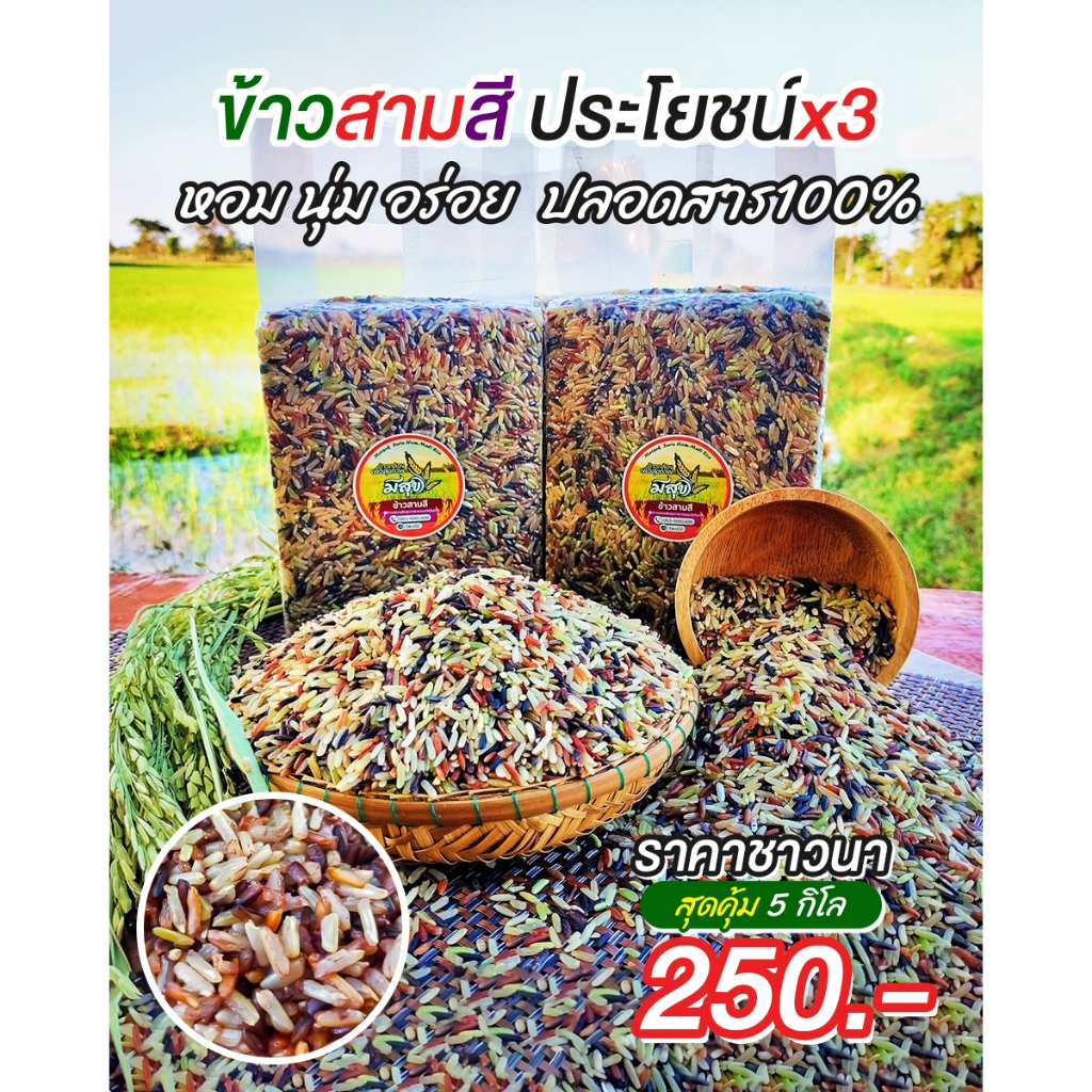 ข้าวสามสี 5 กิโลกรัม (ไรซ์เบอร์รี่+กล้องแดง+กล้อง กข.43)