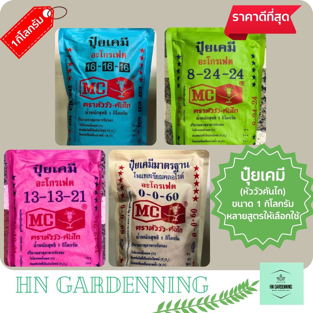 ปุ๋ยเคมี ตรา หัววัวคันไถ สูตร 16-16-16 ,8-24-24 ,0-0-60 ,13-13-21 ปุ๋ยเร่งดอก เร่งผล เร่งลูกโต เร่งส
