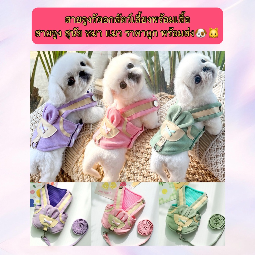 PP-1123 สายจูงสัตว์เลี้ยงพร้อมเสื้อ เสื้อกั๊กสายจูง หมา แมว พร้อมส่ง