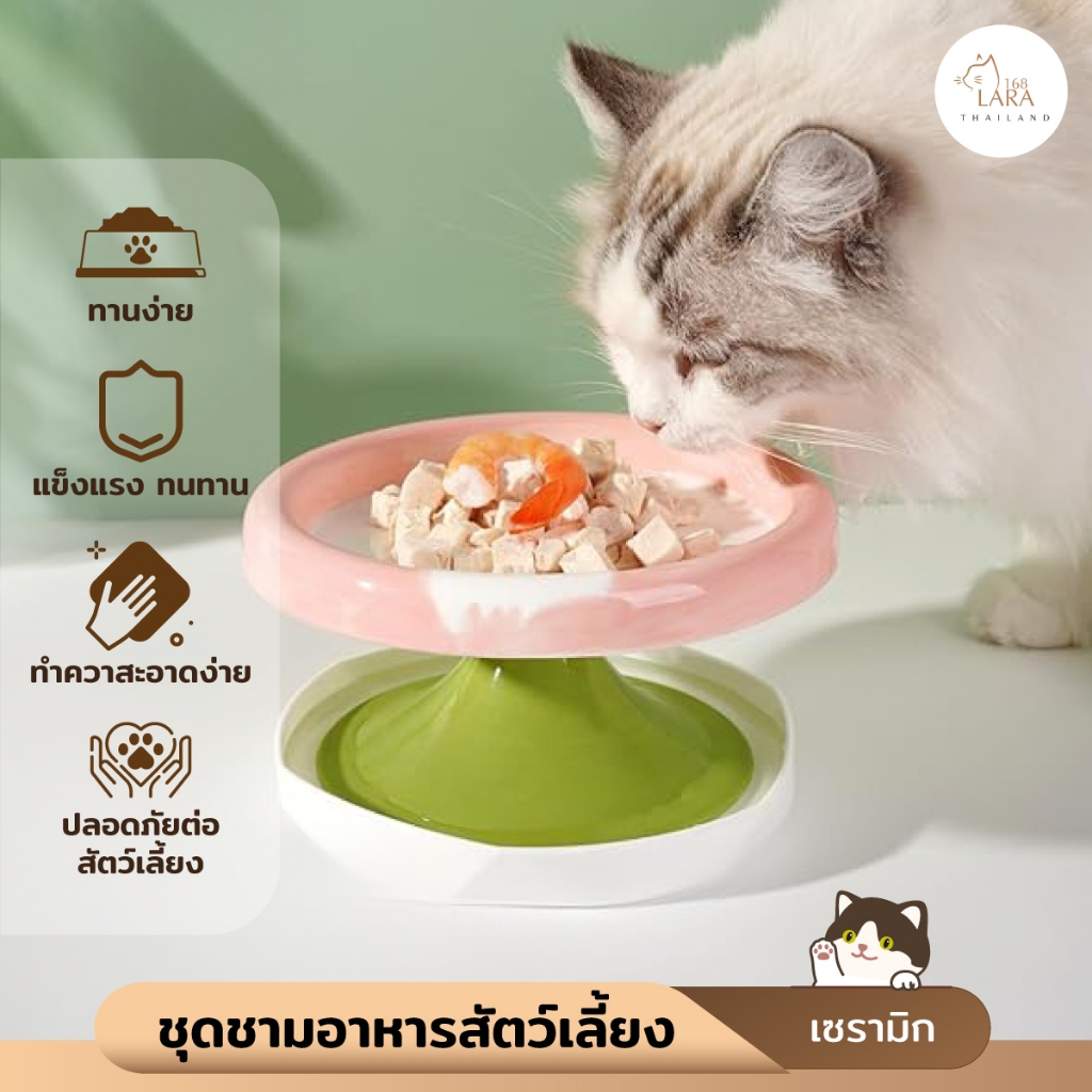 🌈ชามเซรามิก‼️ ชามอาหารสัตว์เลี้ยง ชามแมว สำหรับใส่อาหารเปียก (M21)