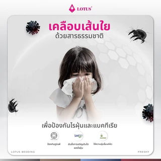 LOTUS หมอนข้างใยสังเคราะห์ รุ่น Freshy
