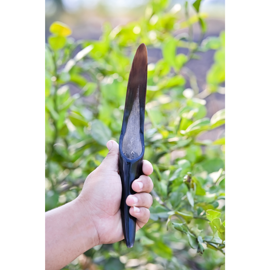 มีดคว้านมะพร้าวถอดเสื้อเเบบมีด้ามจับเขาควาย 10นิ้ว