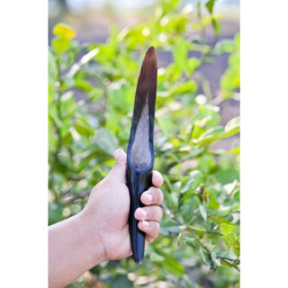 มีดคว้านมะพร้าวถอดเสื้อเเบบมีด้ามจับเขาควาย 10นิ้ว