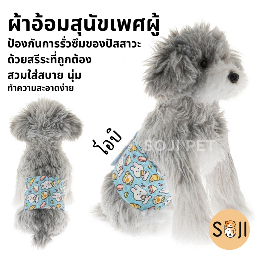 โอบิ ผ้าอ้อมสุนัขเพศผู้ มีหลายไซส์ ล้างทำความสะอาด นำกลับมาใช้ใหม่ได้