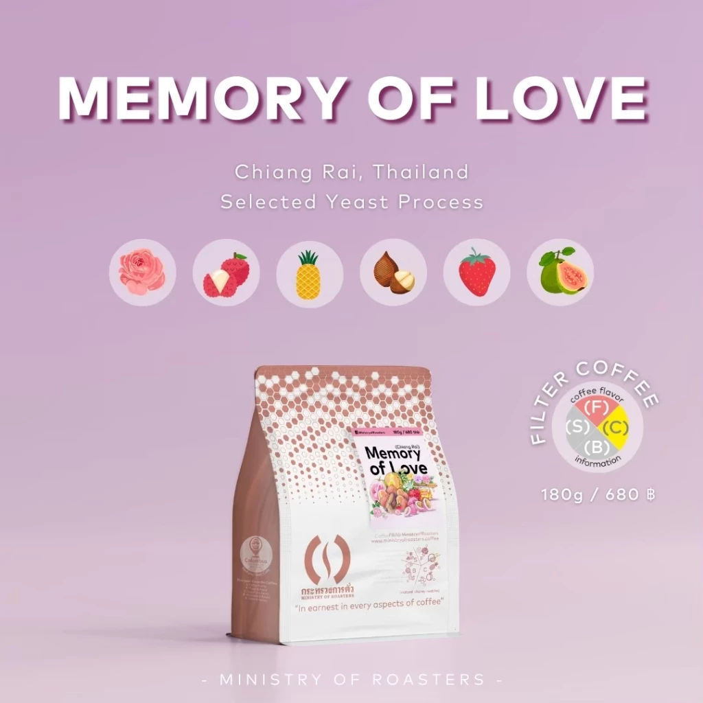 เมล็ดกาแฟคั่วอ่อน Memory of Love | กระทรวงการคั่ว | ดอยช้าง Specialty Coffee Rose Lychee Strawberry