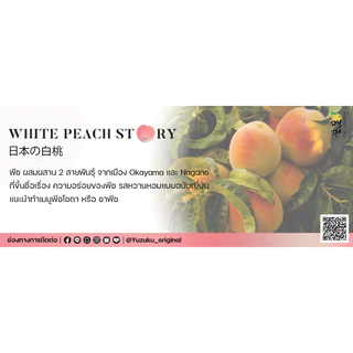 PREMIUM JAPANESE WHITE PEACH SYRUP 🍑🇯🇵 พีชขาวไซรับเข้มข้นผสมเนื้อพีชจริง พีชแท้จากญี่ปุ่น
