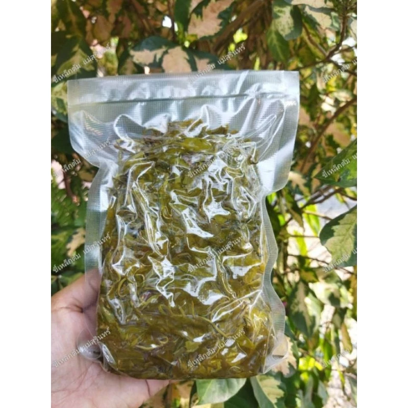 ผักขี้เหล็กต้ม ขี้เหล็กต้ม ขนาด 500 กรัม 60 บาท