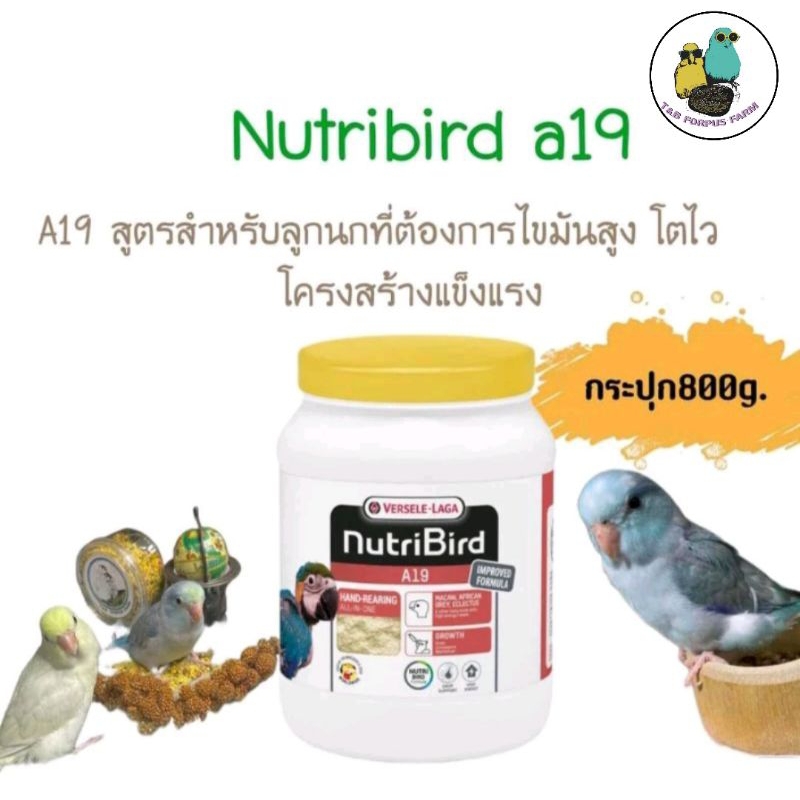 อาหารลูกป้อนNutribirdกระปุก800g.A19