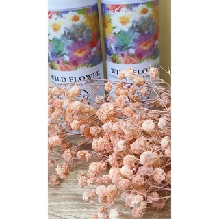 สีสเปรย์พ่นดอกไม้สดสำหรับเปลี่ยนสีดอกไม้มีให้เลือก16เฉดสีขนาด450ml