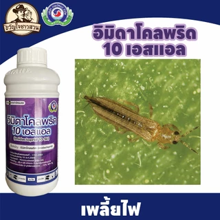 อิมิดาโคลพริด (ยกลัง12 ลิตร) 10 เอสแอล เพลี้ยจักจั่น เพลี้ยไฟ เพลี้ยนาสาร แมลงหวี่ขาว หนอนชอนใบ เทพวัฒนา