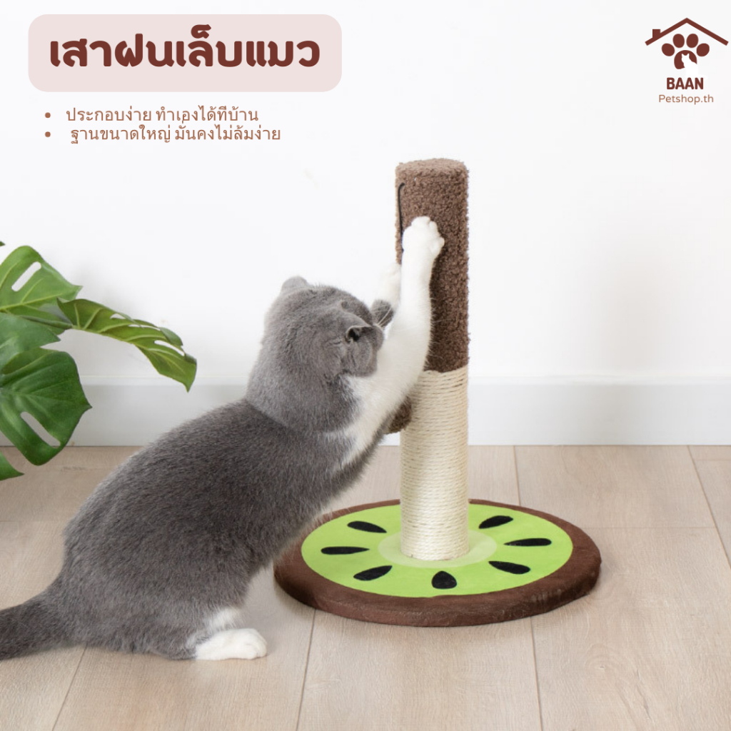 พร้อมส่ง คอนโดแมว ที่ฝนเล็บแมว เสาฝนเล็บแมว คอนโดแมวราคาถูก คอนโดแมว ที่ลับเล็บแมว แข็งแรง ทนทาน