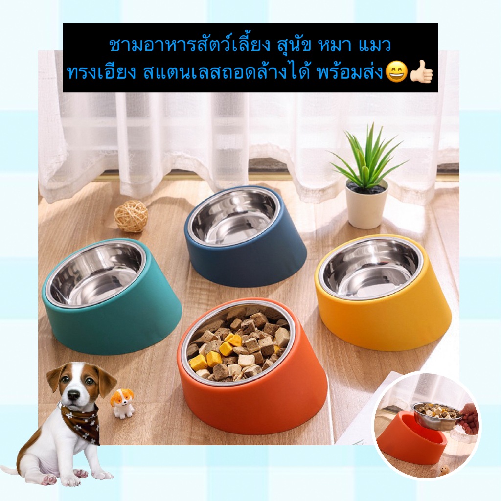 AL-1132 ชามอาหารสัตว์เลี้ยง ทรงเอียง สแตนเลสถอดล้างได้ ชามแมว สแตนเลส พร้อมส่ง