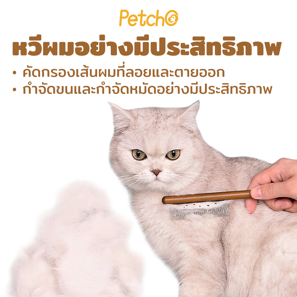 รูปภาพ 7