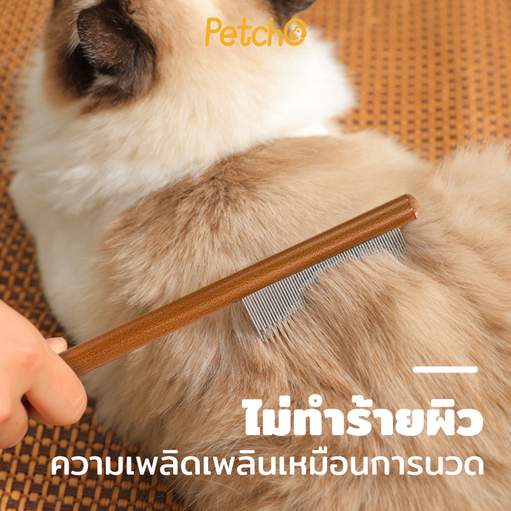 รูปภาพ 9