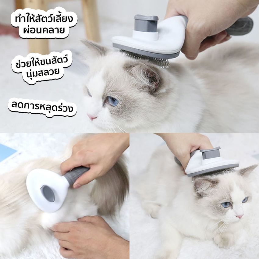 Monza หวีกำจัดขนสัตว์ หวีแปรงขนแมว มีปุ่มกดเพื่อดันขนออก ใช้ได้ทั้งแมวและสุนัข No.Y1998 - รูปที่ 2