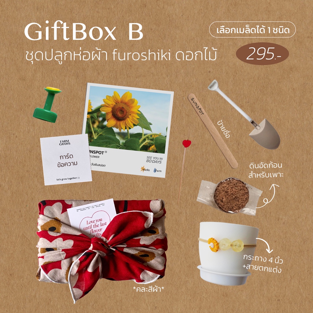 ชุดปลูกของขวัญ GiftBox B กล่องห่อผ้า Furoshiki (คละสี)