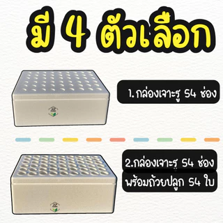 กล่องโฟมปลูกผัก อนุบาลต้นกล้า กล่องโฟม 54 ช่อง สำหรับอนุบาลต้นกล้า ปลูกผักบุ้ง คื่นฉ่าย (**พร้อมถ้วยปลูก 54 ใบ**)