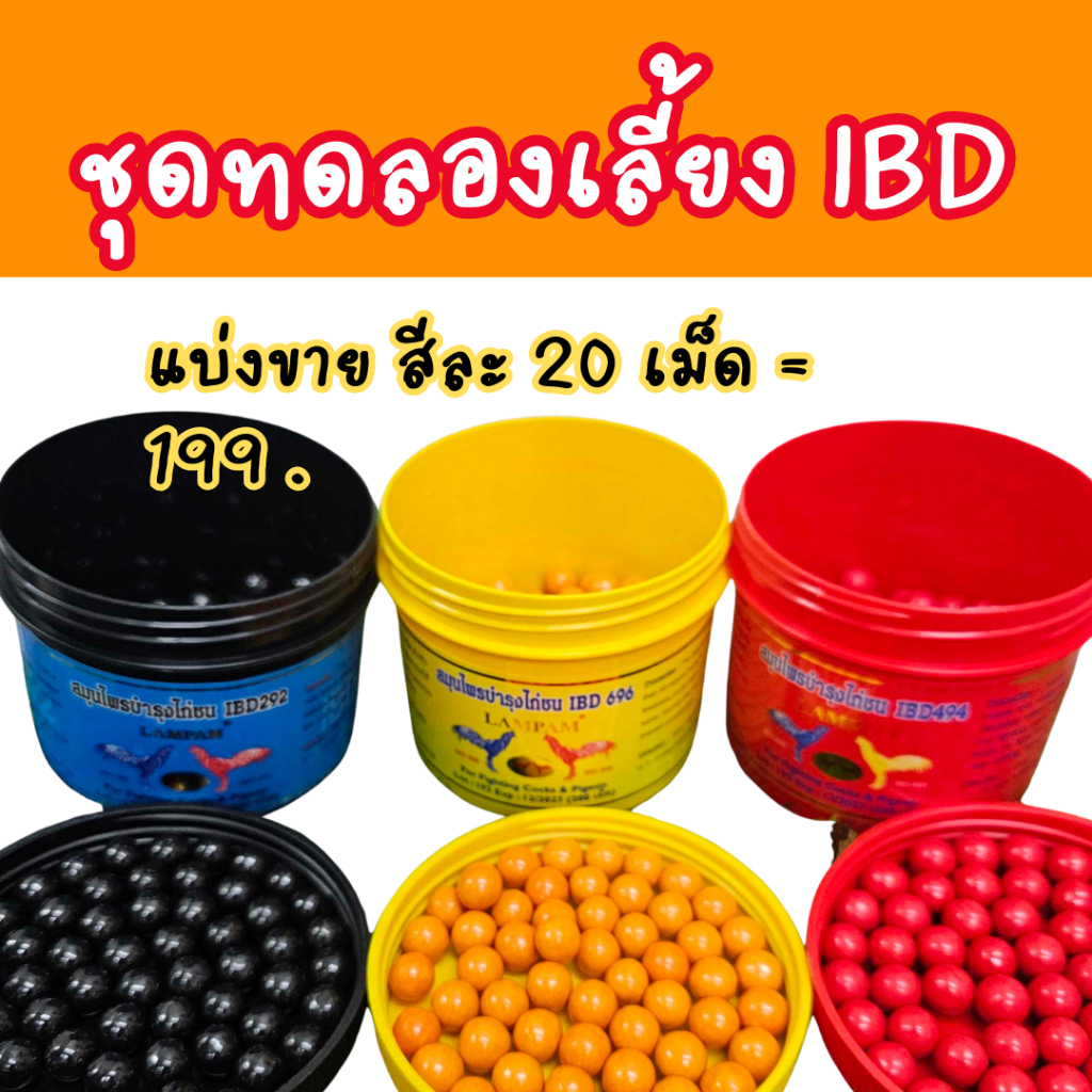 ชุดเลี้ยงไก่ IBD 3สี สีละ20 เม็ด **ชุดทดลอง** ชุดเลี้ยงไก่ลำปำ