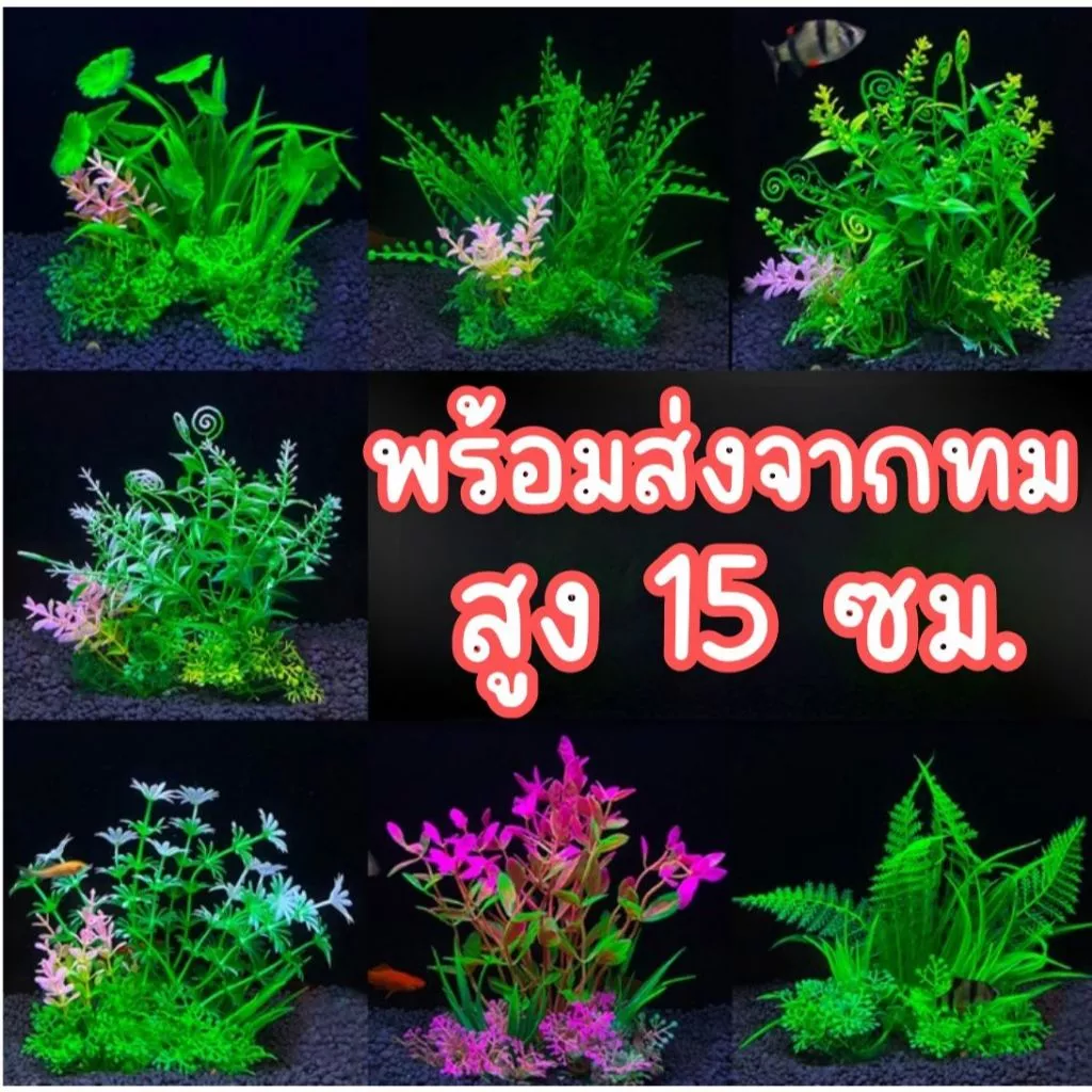 🎄ต้นไม้จิ๋ว(10cm-15cm) ต้นไม้ปลอม ต้นไม้พลาสติก อุปกรณ์ตู้ปลา ของตกแต่งตู้ปลา ต้นไม้ปลอมตู้ปลา🎄