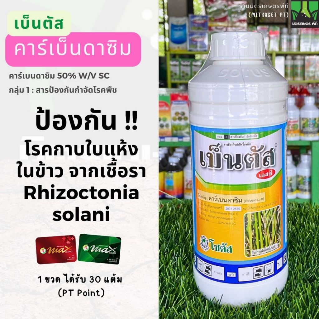 เบ็นตัส เอสซี คาร์เบนดาซิม 50%SC สารป้องกันกำจัดเชื้อราประเภทดูดซึม ป้องกันกาบใบแห้งในข้าว โรคกุ้งแห้งในพริก โรคราดำ