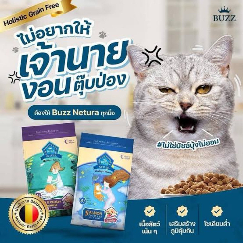 อาหารแมว Buzz Netura Healthy Holistic made in Belgium สูตรแซลมอน สำหรับลูกแมวถึงแมวโต ขนาด 4 กก