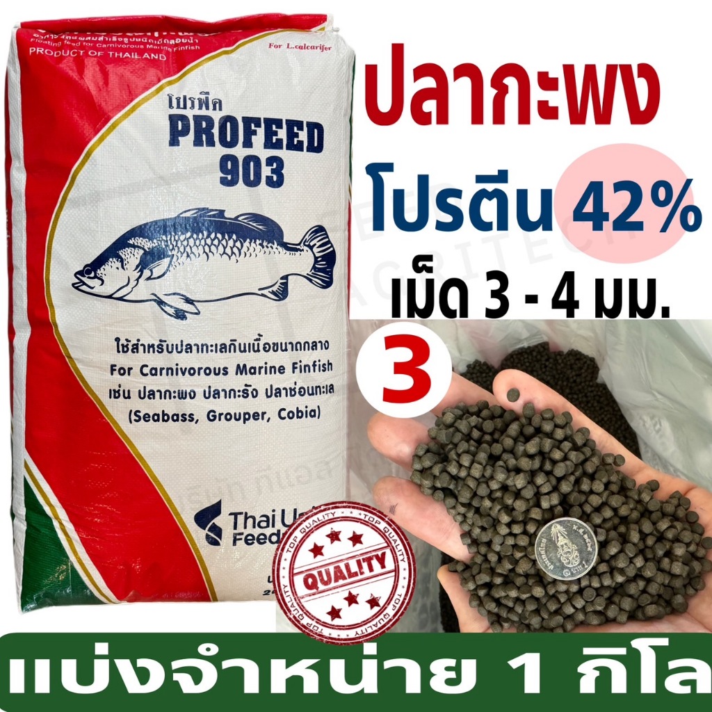 ProFeed อาหารปลากระพง โปรฟีด โปรตีน 42% อาหารปลาทะเล >> 903 << แบ่งขาย