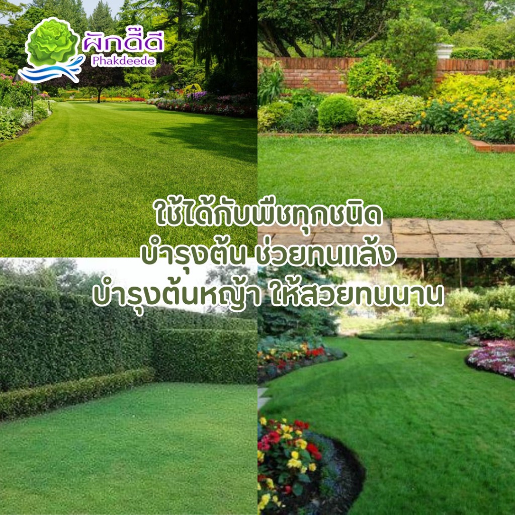 รูปภาพ 4