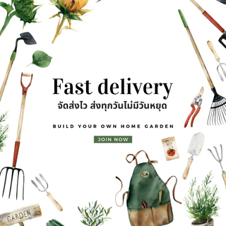 เมล็ดผักมะเขือเปราะ เมล็ดผักสวนครัว เมล็ดผัก5บาท