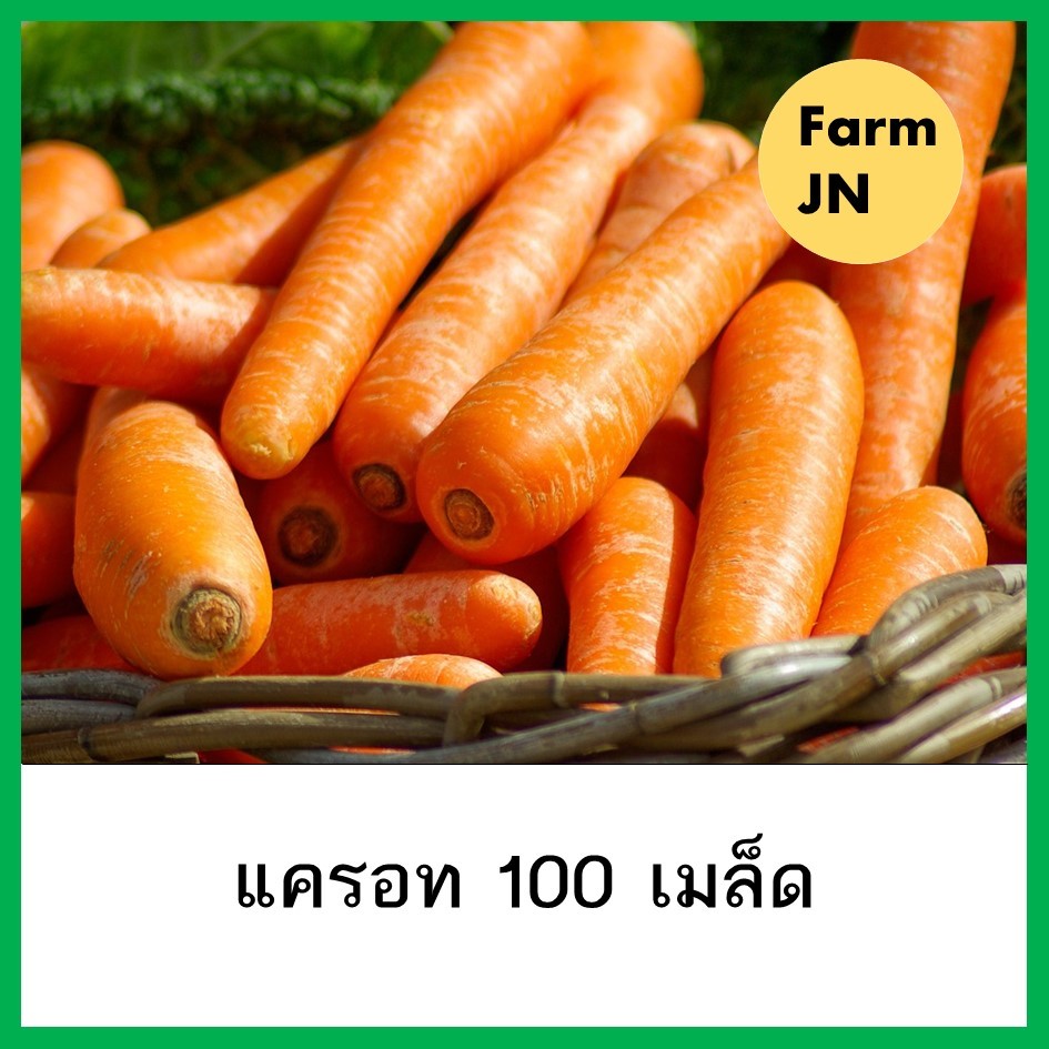 เมล็ดแครอท เมล็ดพันธุ์จาก FarmJN