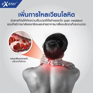 Exeter Thermo Pad เอ็กเซเตอร์ แผ่นให้ความร้อนไฟฟ้า เทอร์โม แพด