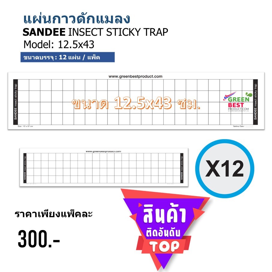 แผ่นกาวดักแมลง SANDEE INSECT STICKY TRAP model 12.5x43