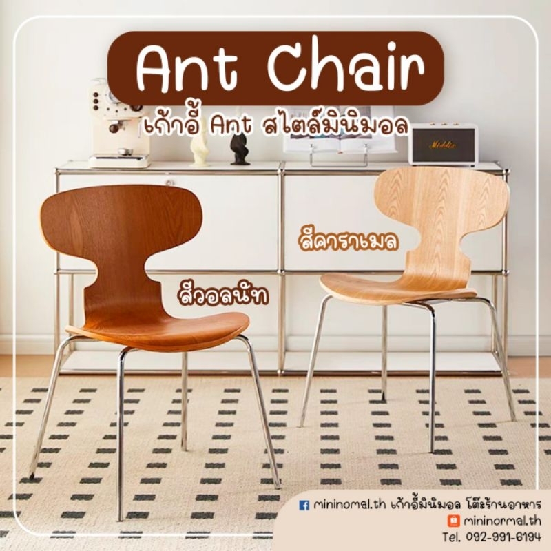 Ant Chair เก้าอี้ร้านอาหารร้านคาเฟ่