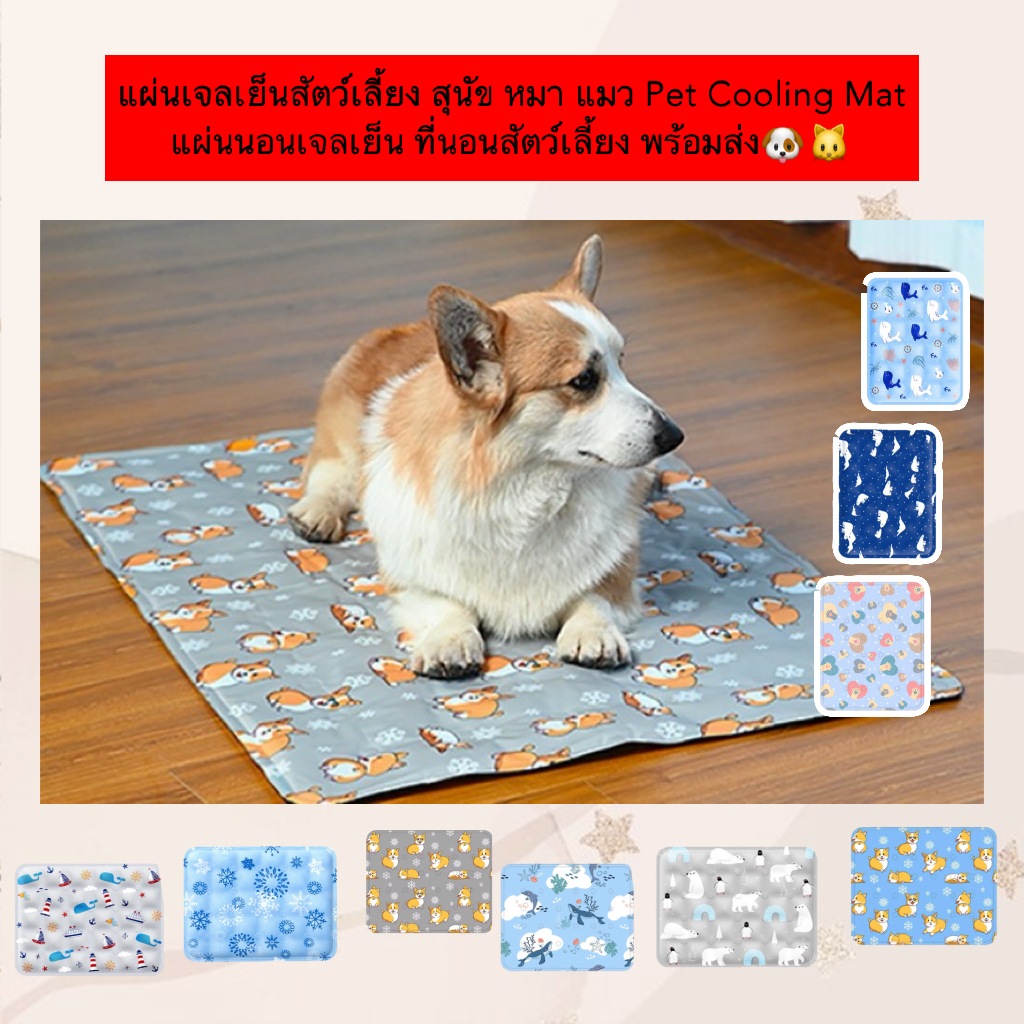 AL-1147 แผ่นเจลเย็นสุนัข Pet Cooling Mat แผ่นนอนเจลเย็น ที่นอนสัตว์เลี้ยง พร้อมส่ง