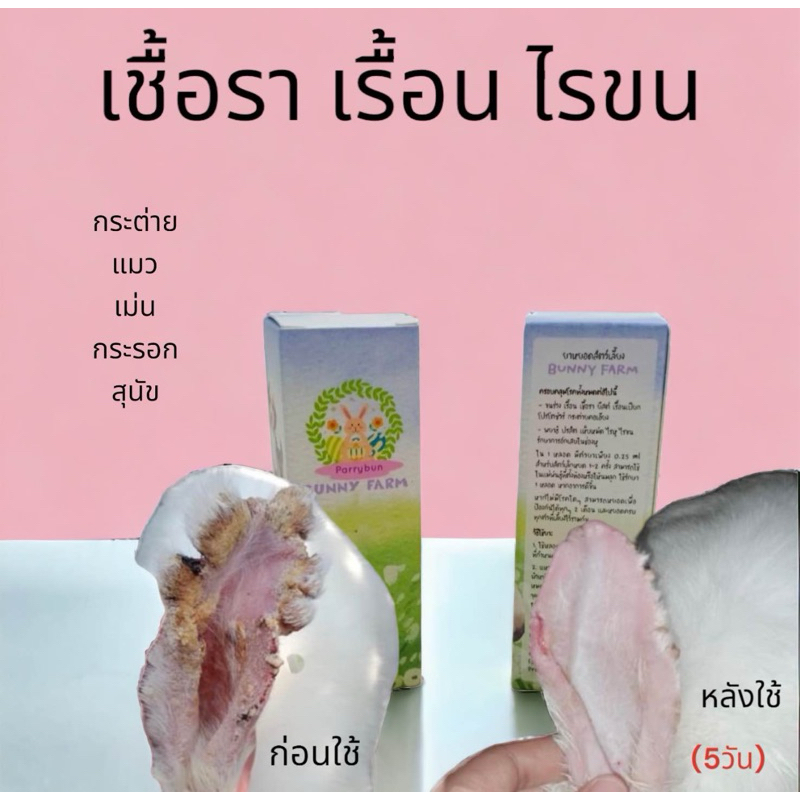 เซรั่ม บำรุงขน สัตว์เลี้ยง มีอ.ย