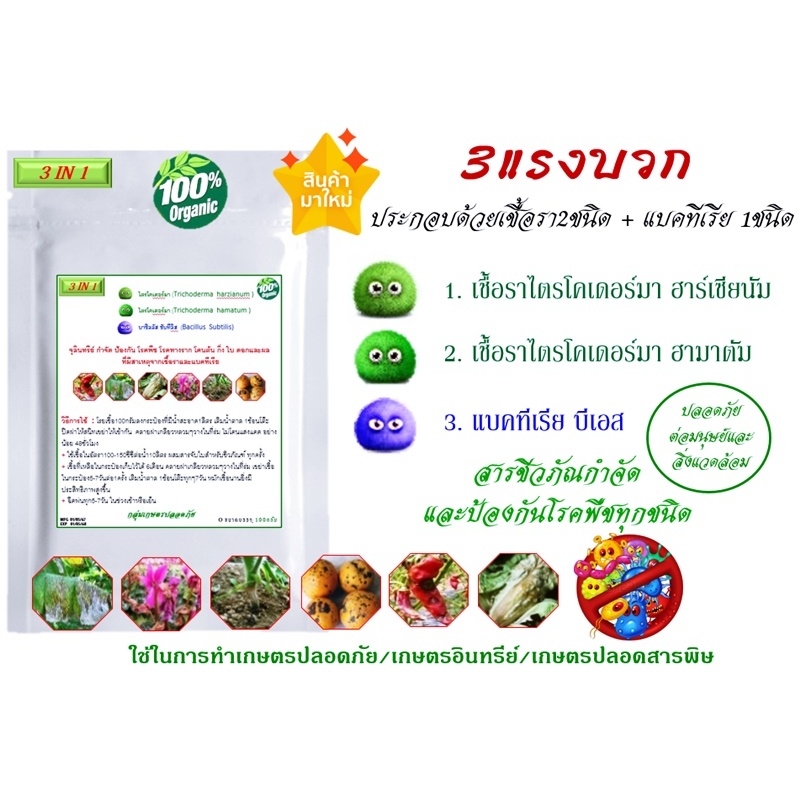 3in1 เชื้อราไตรโคเดอร์มา ฮาร์เซียนัม+เชื้อราไตรโคเดอร์มา ฮามาตัม+ บาซิลลัส ซับทิลิส (บีเอส) กำจัดโรคพืช บรรจุ100 กรัม