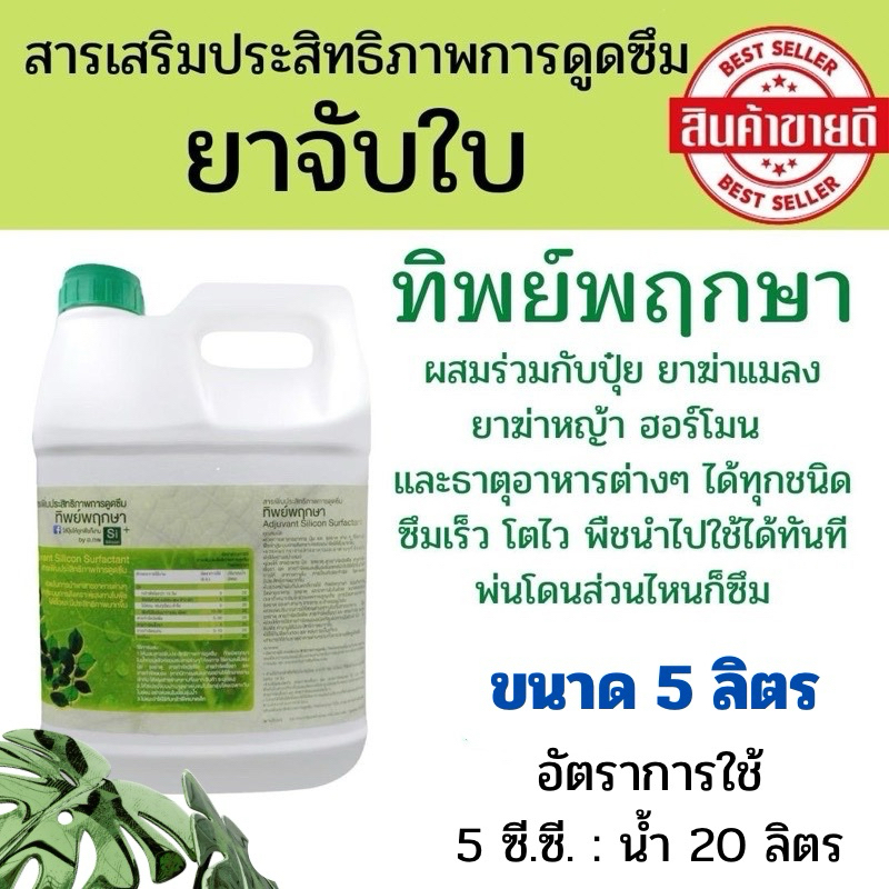 สารจับใบ ยาจับใบ (ซื้อครั้งละ 1 แกลลอน) สารเพิ่มประสิทธิภาพการดูดซึม ทิพย์พฤกษา (แกลลอน5 ลิตร)