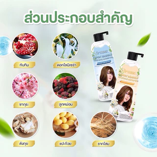 แชมพูพืชย้อมผมหงอก เปลี่ยนสีผม ดร.มีน สูตรพืชสมุนไพร (1ขวด) แชมพูพืชปิดหงอก ปิดผมขาว plant bubble hair dye Dr.meen