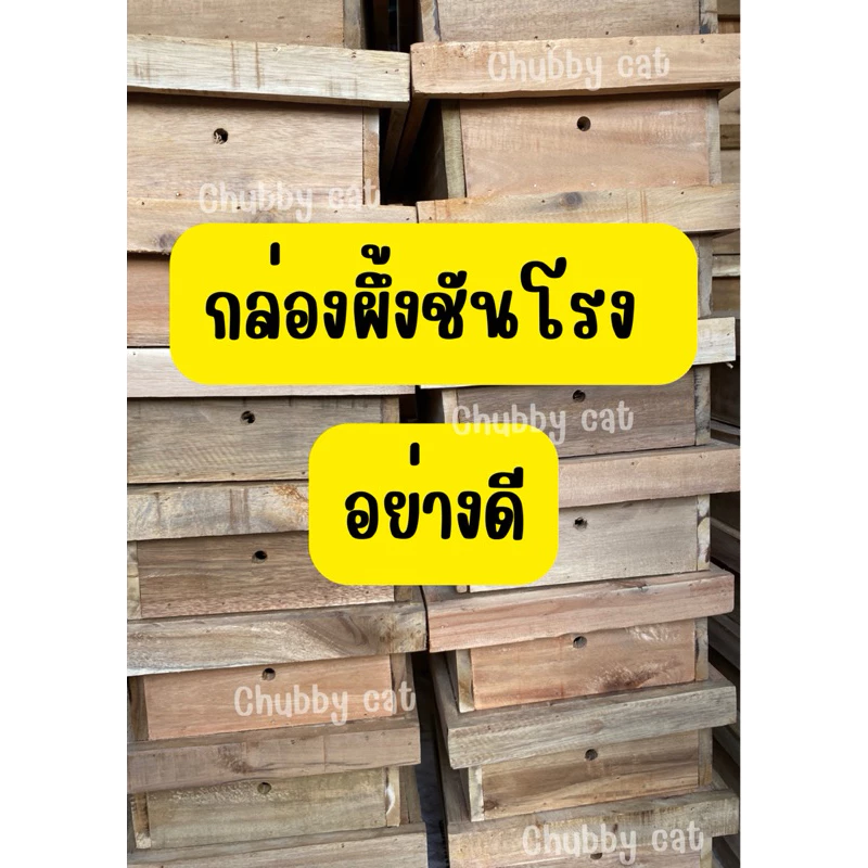 กล่องชันโรง ขนาด A4 กล่องผึ้งชันโรง ชันโรง ผึ้งจิ๋ว #ชันโรง #ผึ้งชันโรง #กล่อง #กล่องชันโรง