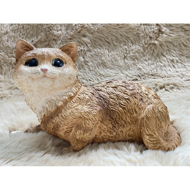 น้องแมวงานแฮนเมดเหมือนจริงงานเก่าcastagna ผลิตปี 1994 ผลิตจากประเทศ Italy 🇮🇹  สวยมากๆๆ💕